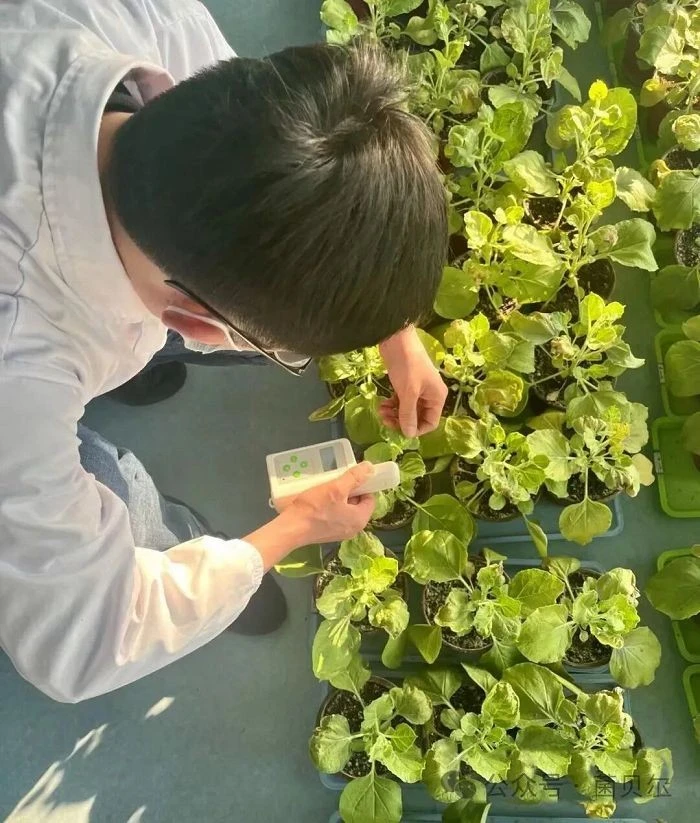 Bacterial Fertilizer Testing best