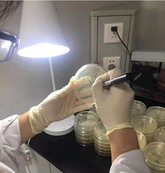 Bacterial Fertilizer Testing high quality